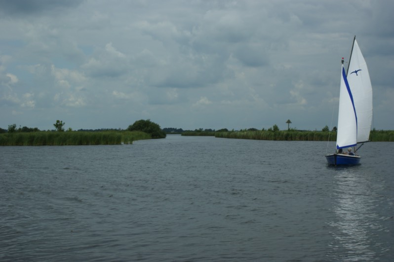 Stacks Image 93