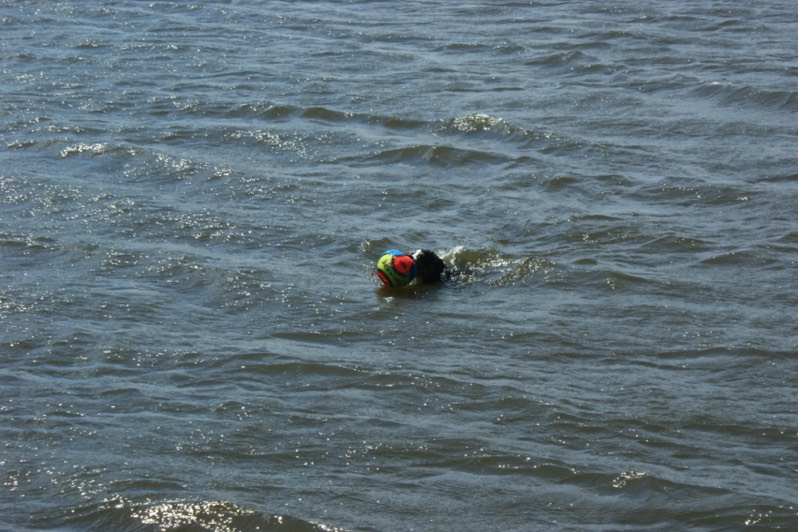 Stacks Image 86